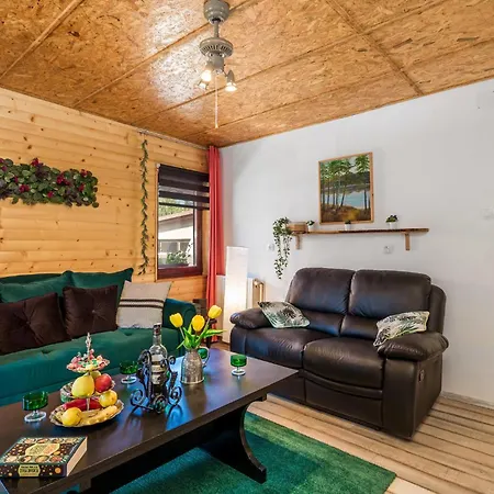 Awesome In With Sauna Holiday home Mrkopalj