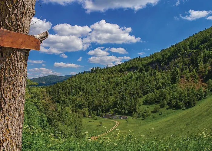 Awesome In With Sauna * Mrkopalj